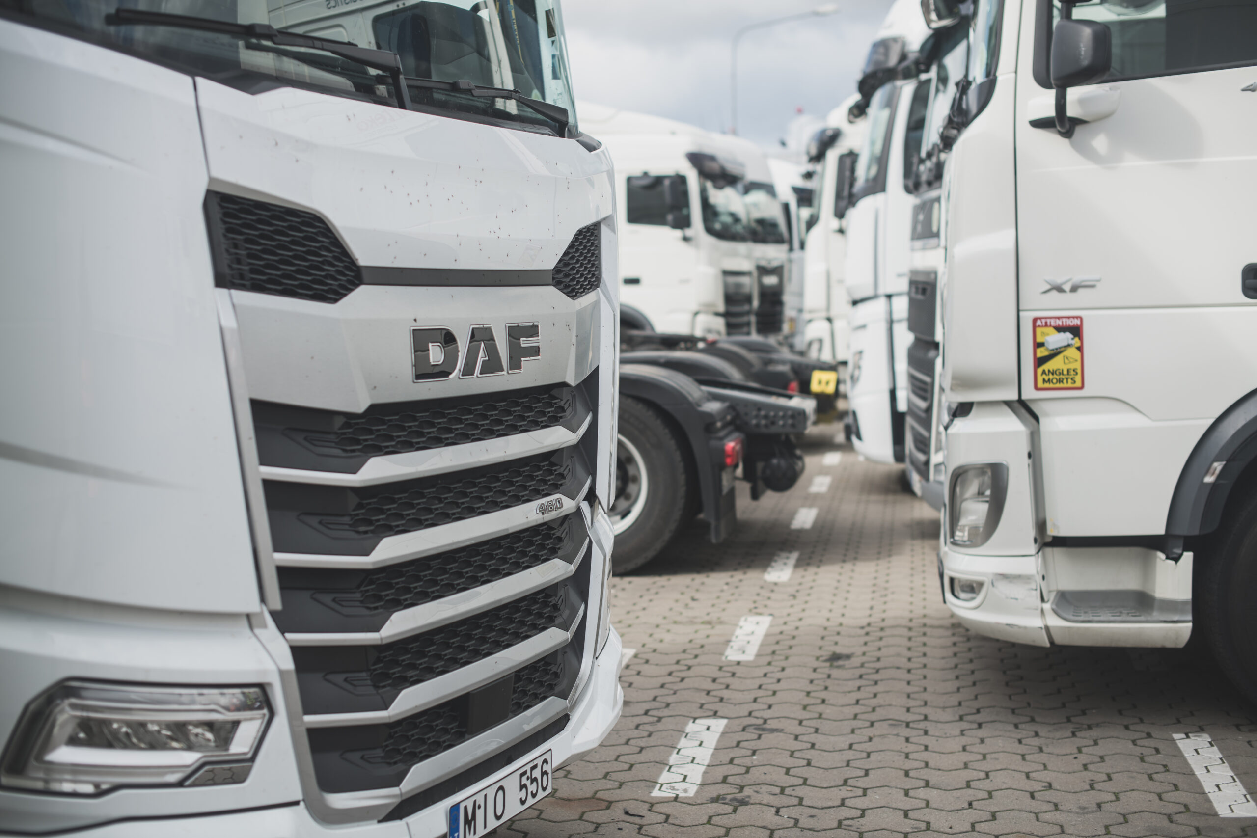 Transport Asset Management
